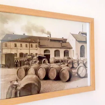 Séjour à la campagne Pivovar Spitt Zahorany Litoměřice